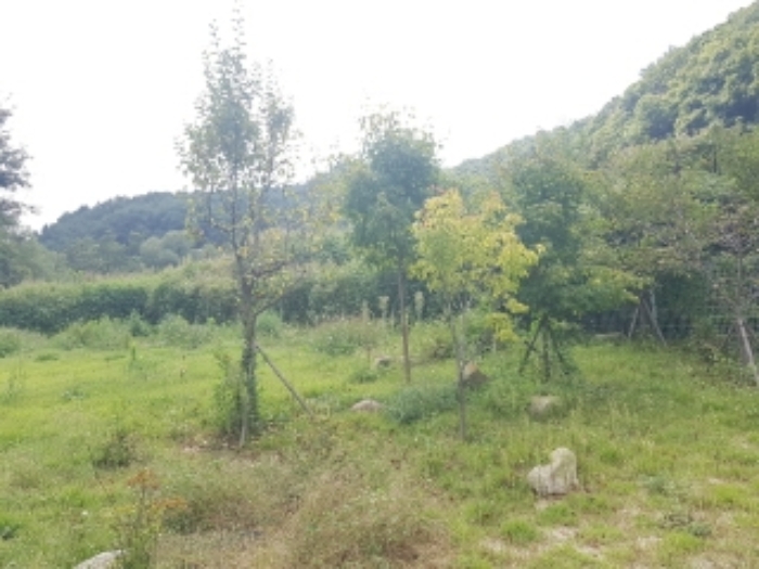 [사진 15]