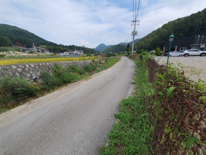 본건전경 기호(1) 