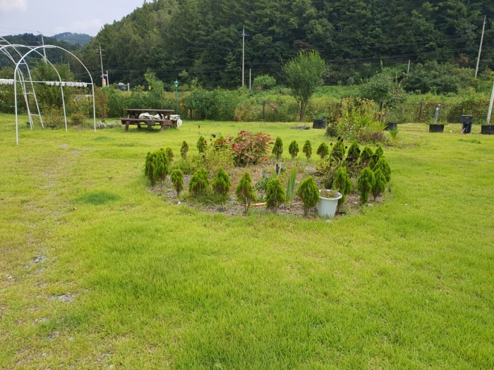 본건 기호(3) 지상소재 조경수 등 