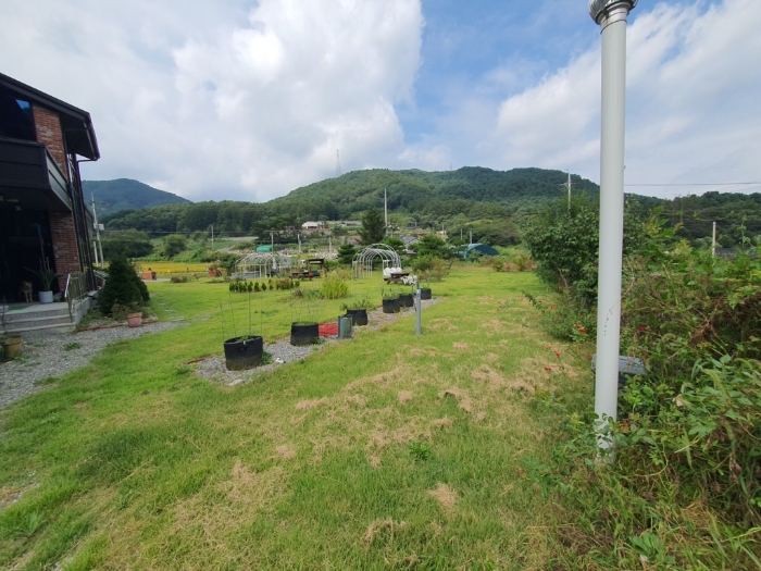 본건 기호(3) 지상소재 조경수 등 