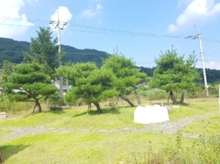 [사진 9]