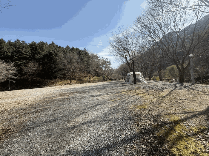 본건전경-기호(