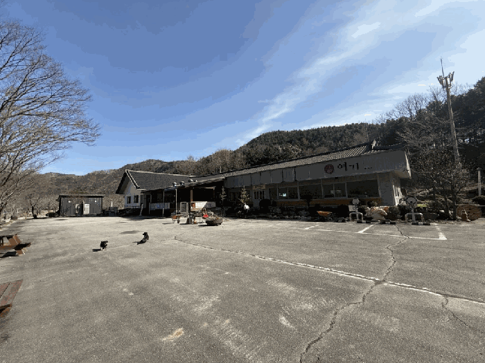 본건전경-기호(