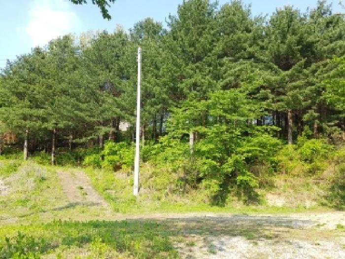 제시부동산 목록