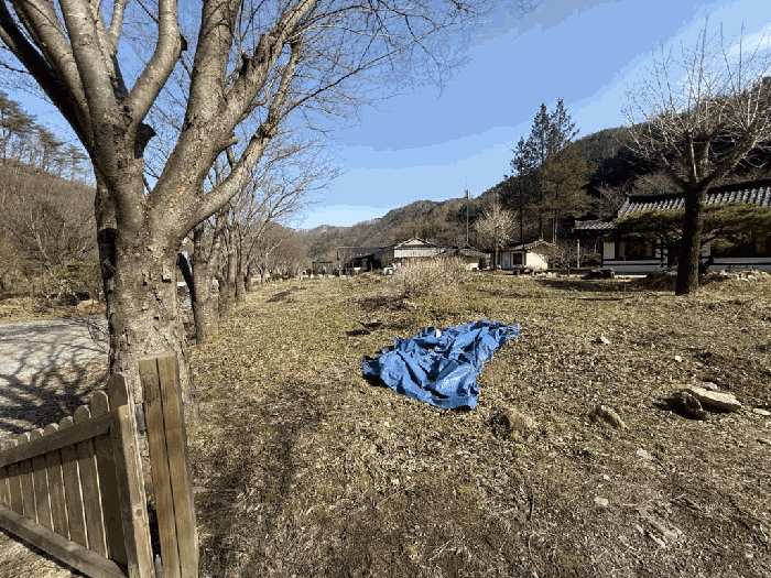 본건전경-기호(