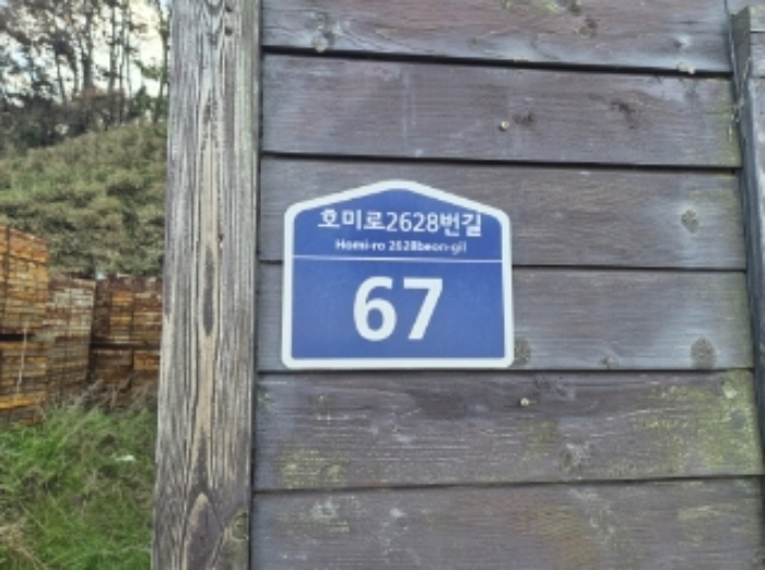 사진7