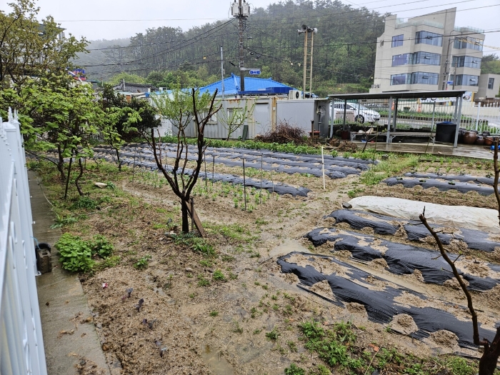 본건 토지 전경