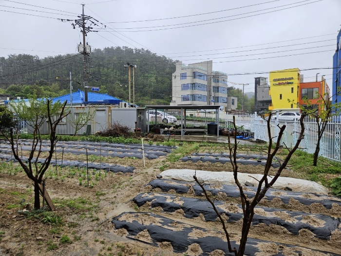 제시외건물 ㉢,㉣