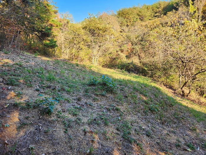 제시외 분묘 
2기