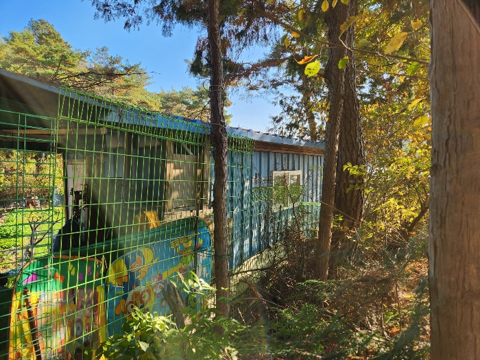 제시외 물건
컨테이너하우스 
감정평가에서 제외