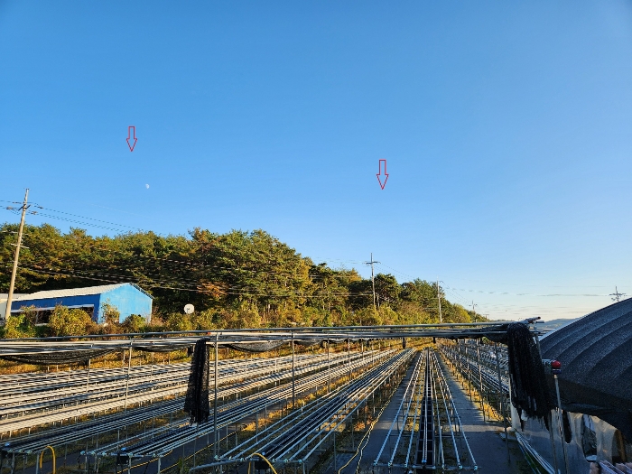 본건의 전경 
남서측 도로에 접면하는 부분을 중심으로
북서측에서 남동측을 향하여 촬영