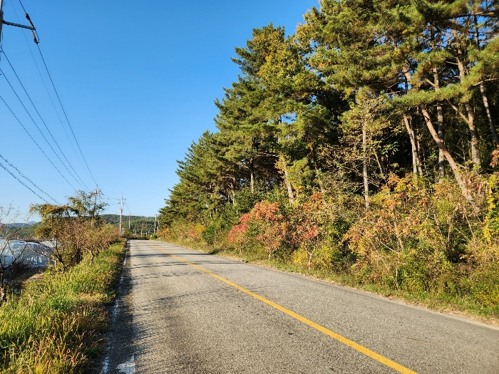 남서측으로 접면하고 있는 지방도 1001번길 등
남동측에서 북서측을 향하여 촬영