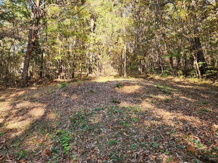 제시외 분묘
2기