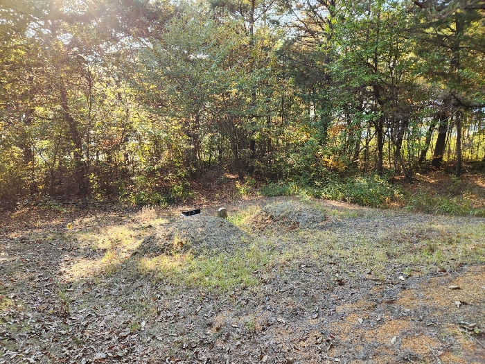 제시외 분묘
2기