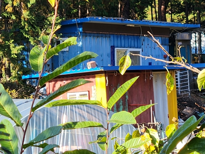 제시외 물건
컨테이너하우스 
감정평가에서 제외