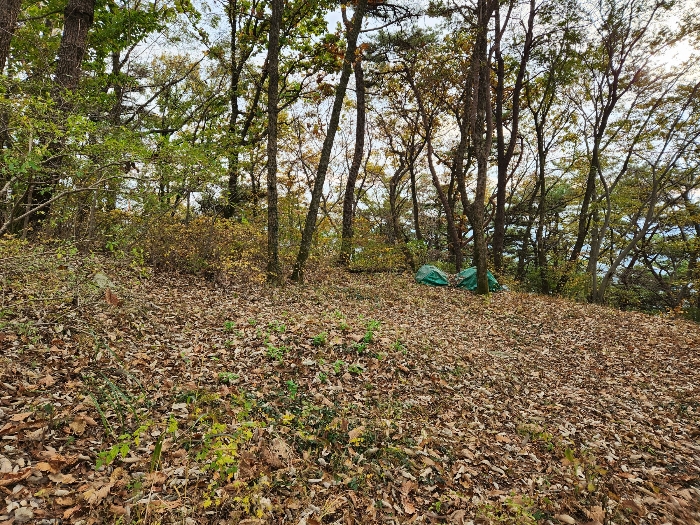 제시외 분묘
1기