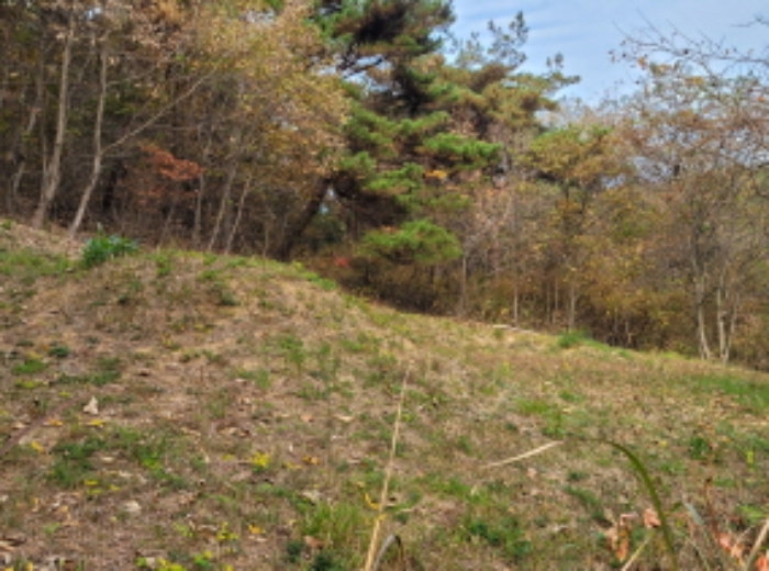 목록번호1 분묘