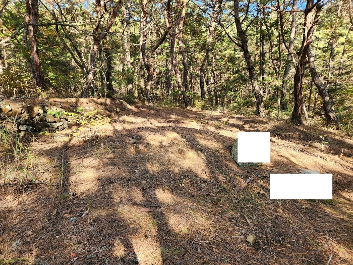 제시외 분묘
1기