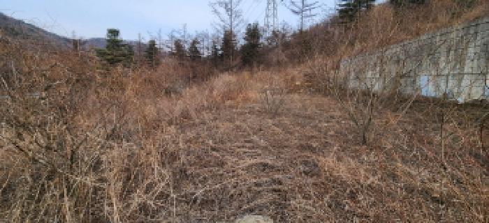 목록5 토지 전경2