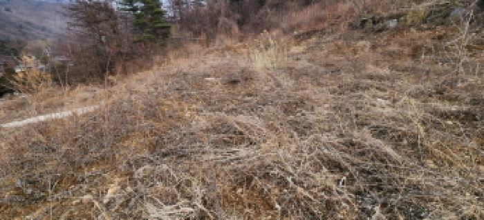 목록5 토지 전경3