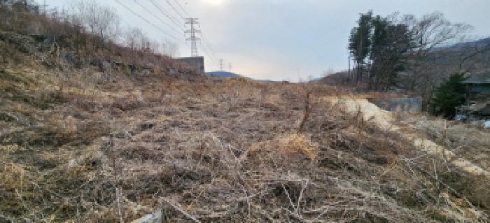 목록5 토지 전경4