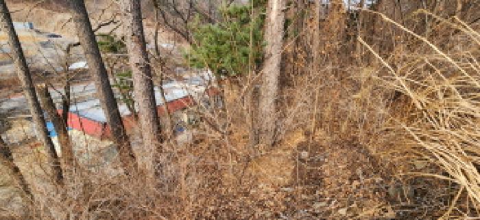 목록6 토지 전경2