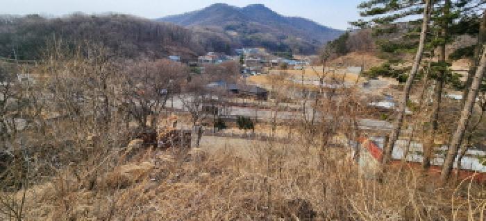 목록6 토지 전경1