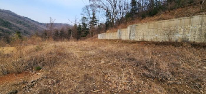 목록1 토지 전경3