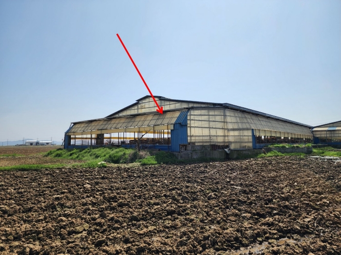 제시외 건물 ㉠