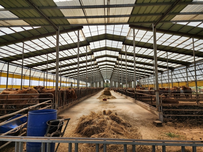 제시외 건물 ㉠