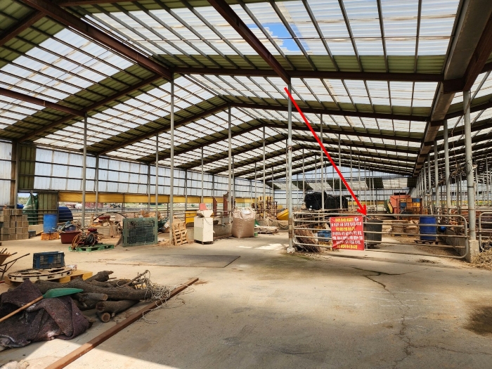 제시외 건물 ㉡