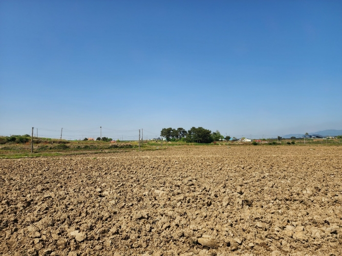 본건 주변 전경