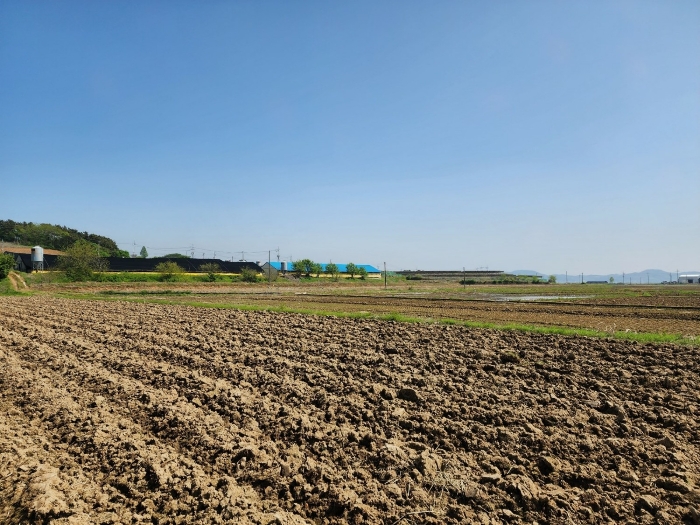 본건 주변 전경