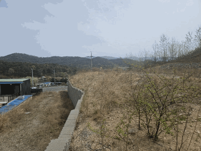 본건전경(2)