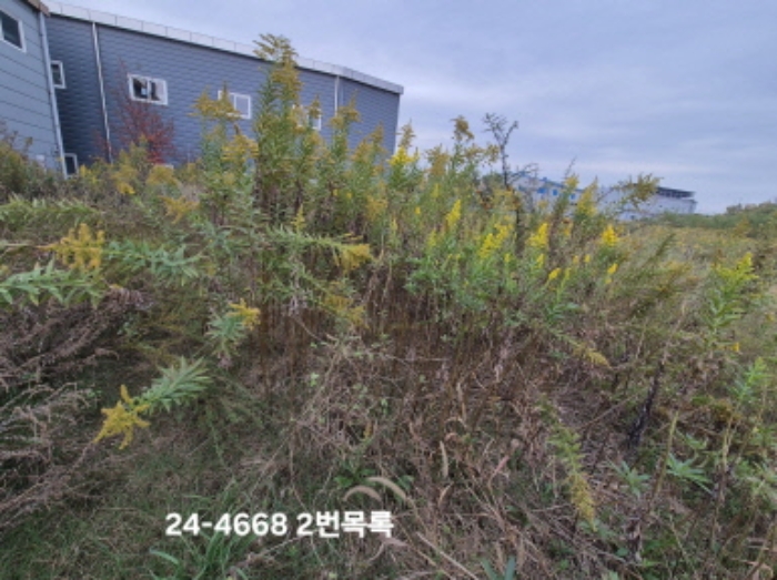 2번 목록 전경