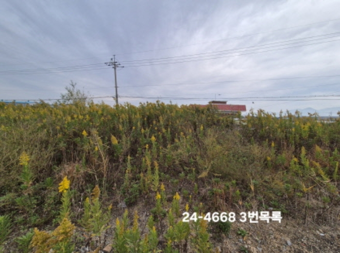 3번 목록 전경