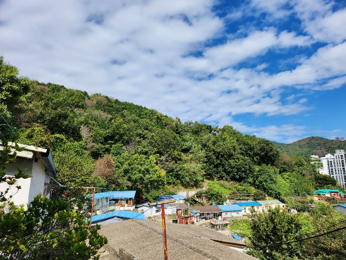 일련번호(2) 남측에서 북측 전경