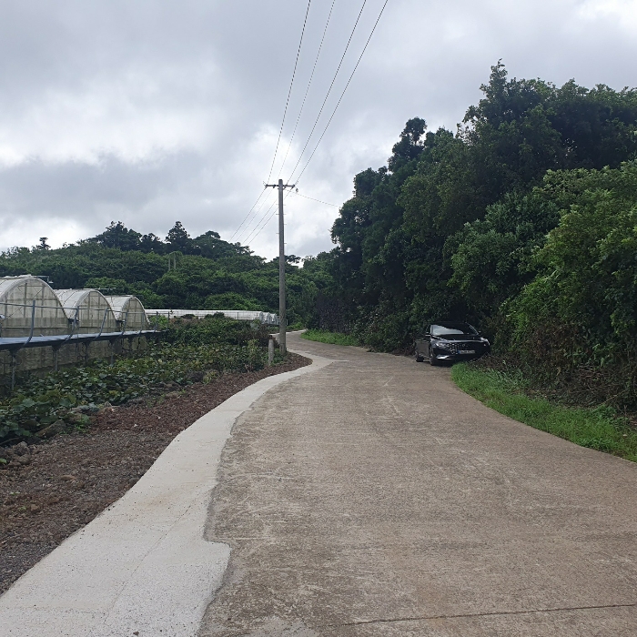 인접도로현황 및 주위환경
