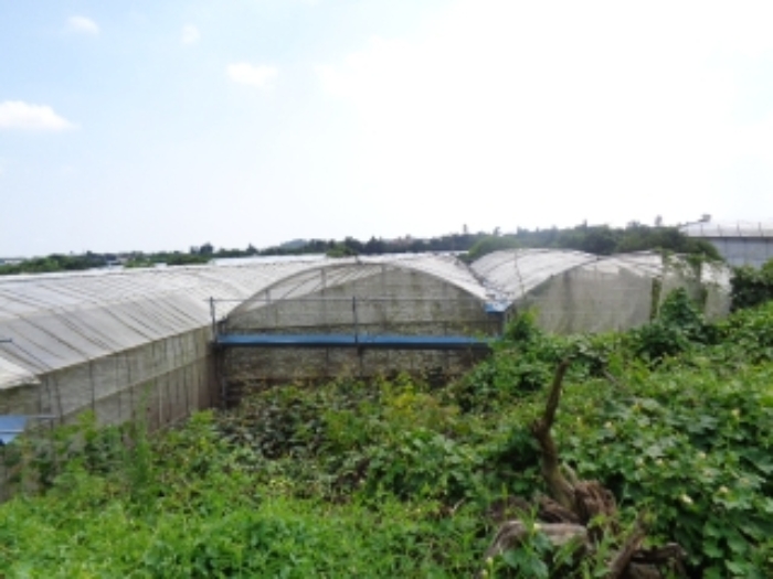 소재지2(청수리 471)지상 하우스 시설 사진