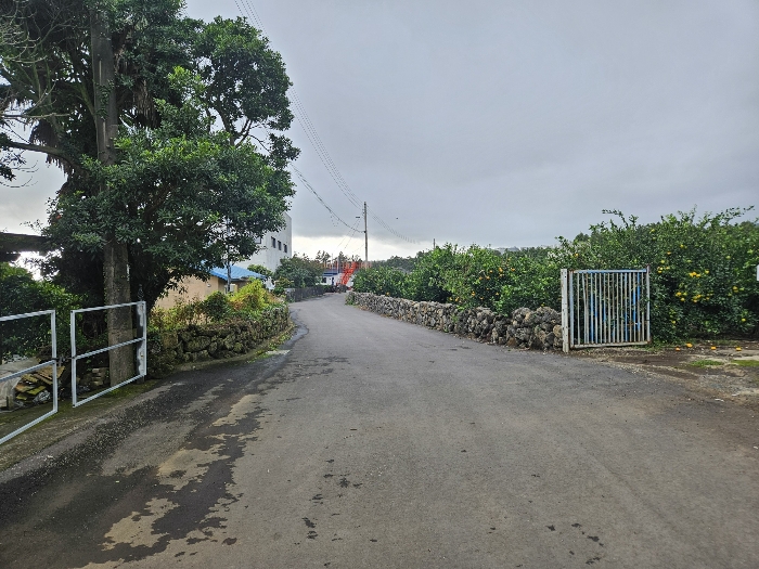 일련번호(1) 주위 전경