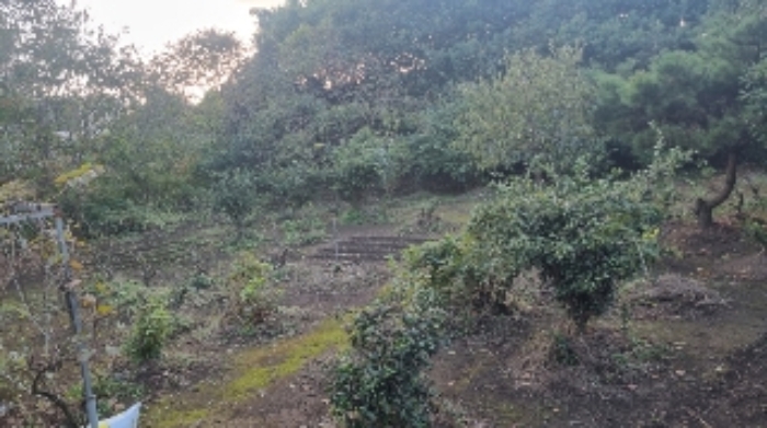 소재지4(토평동 2857-5) 전경4