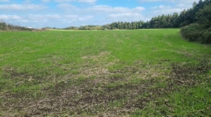 소재지3(와산리 1271-9) 전경1