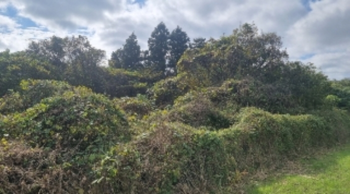 소재지3(와산리 1271-9) 전경2