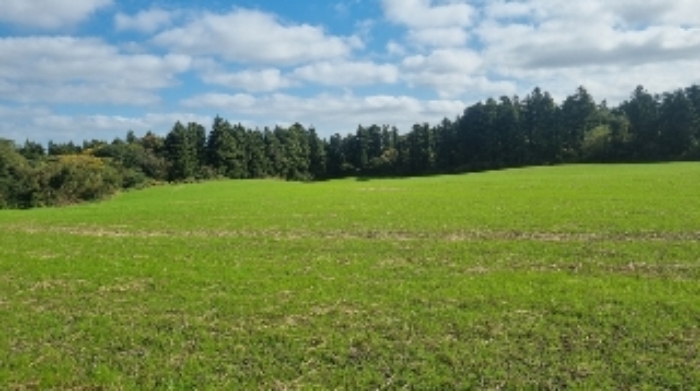 소재지1(와산리 1271-4) 전경1