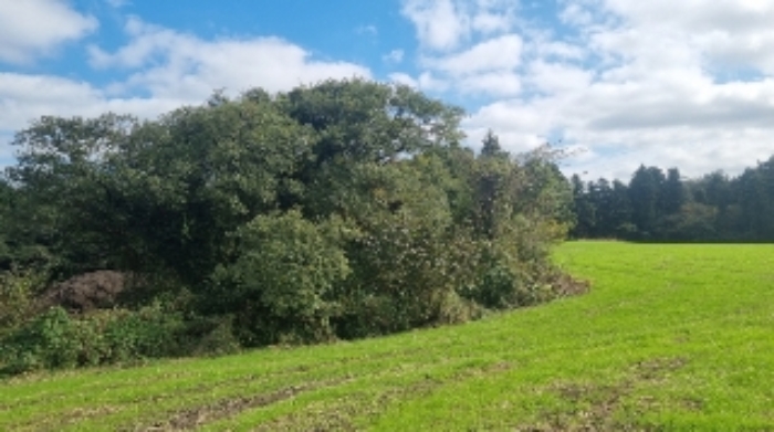 소재지1(와산리 1271-4) 전경2