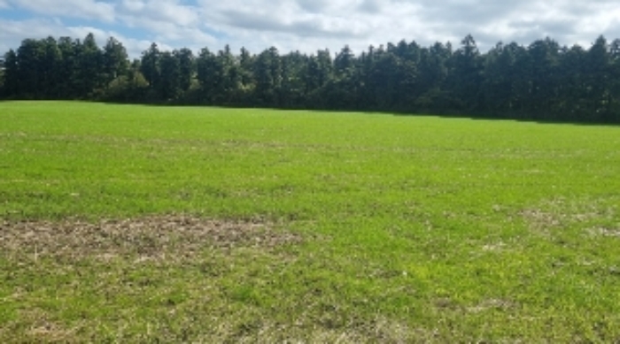 소재지2(와산리 1271-8) 전경