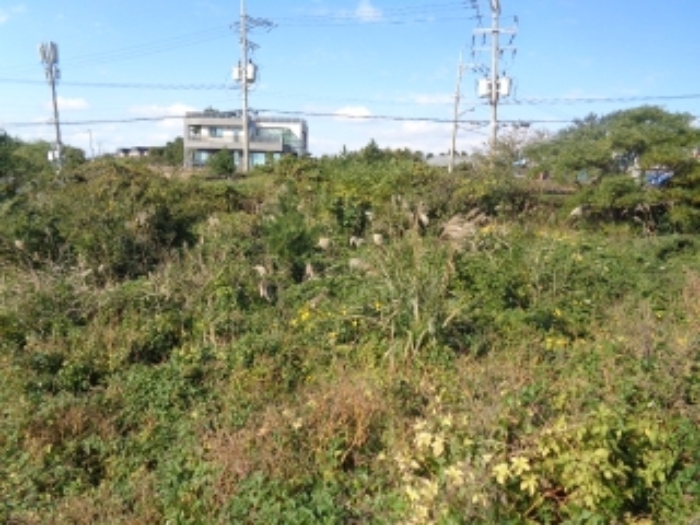 소재지1(사계리 333) 전경 사진