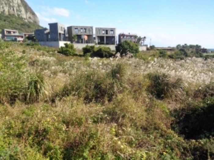 소재지1(사계리 333) 전경 사진