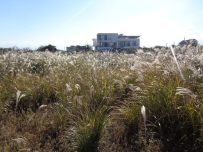 소재지2(사계리 334-1) 전경 사진