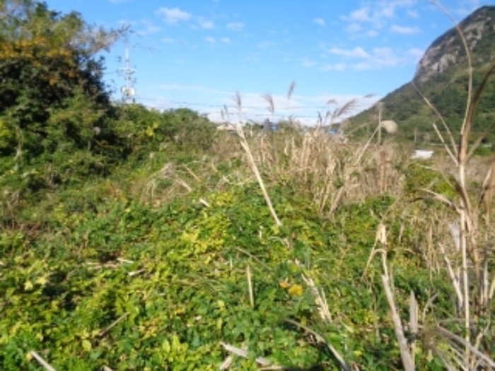 소재지2(사계리 334-1) 전경 사진